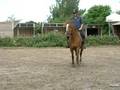lamotte j-1