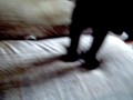 ボール猫動画
