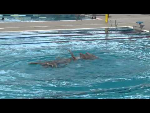 how to practice synchronized swimming