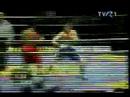 Bute , Diaconu, JoJo Dan TVR promo