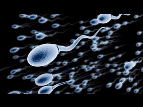 Report - A pill that provides a safe, effective and reversible method of contraception for men has been brought a step closer by scientists. One reason a birth contro...
