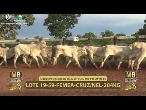 541� LEIL�O VIRTUAL MB LEIL�ES