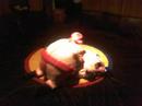 sumo bump frank esther sumo bump frank esther