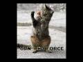 [S.F] - Funny Cats