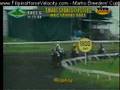videos de RACE 6 SMART SPORTS TIPSTER - TAIL WIND 11/23/2008