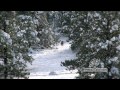 Mule Deer With CVA Apex Darin Clifton with Open Season TV