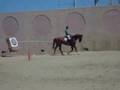 Hore ride