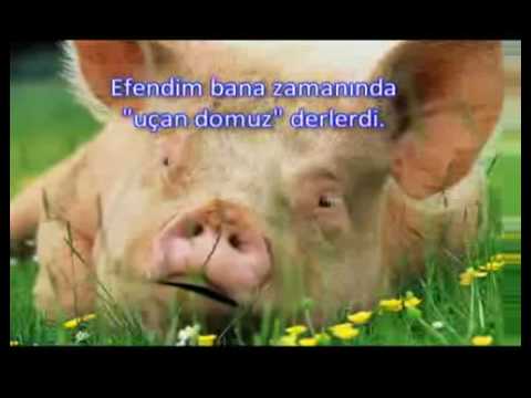 Daniela Peštová video