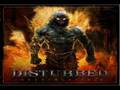 Disturbed Indestructible With lyrics