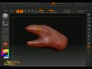 Zbrush3.1