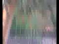 videos de DG Khan-Zoo