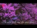 一剪梅/ A Spray of Plum Blossoms - Translation English
