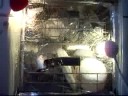 Siemens Dishwasher - Start