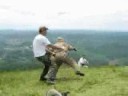Capoera de gaucho^^