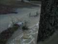 Flood Jan 2009
