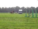 eventing pre novice show jumping
