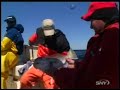 Andreas Toy Charters - Tilefish (Part 2 of 3) NJ Offshore Canyon
