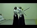 2008 SDI Seminar Highlights, Part 1