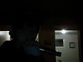 Necrophagist - seven(vocal cover)