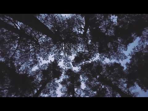 video-show