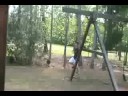 OMG a Spider!!!!!!!!