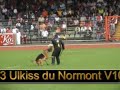 SV BSZS-2006 Oberhausen World German Shepherd Championship Ruden Protection (Part V). Dog training. Karat's Karo, Karat's Yoker, Ulkiss du Normont, Dux de Quatro Flores. By eyes of Irina Kuznetsova vom Irin Hof. Бундес Зигер 2006 Оберхаузен Немецкая овчарка Кобели Проверка поведения (Часть V) как её увидела Ирина Кузнецова ( владелеца питомника фом Ирин Хоф ).