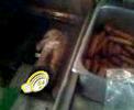 Deep fried teddy bear