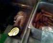 Deep fried teddy bear