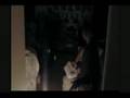Midnight Beasts Chapter 2