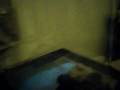 videos de My Evil Retic striking