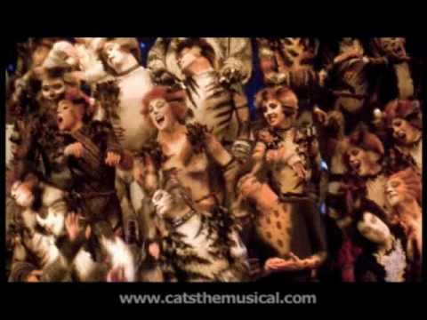 Cats the Musical: Jellicle Songs