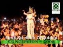 Orquidea 2008 Orquidea 2008