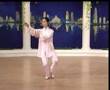 Yang Taijiquan, 24 form