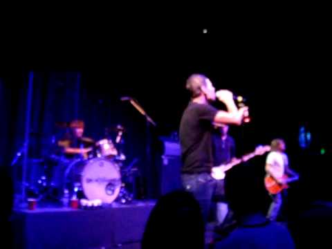 Gin Blossoms