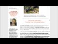 domain-profit-guide-make-good-money-from-domain-names-.html
