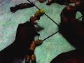 jeff hardy shoots