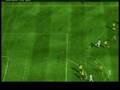 fifa 09 goals