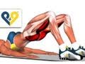 Bridging exercise