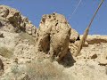 Ein Gedi Oasis in midlle of the desert