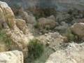 Ein Gedi Oasis in midlle of the desert