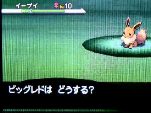 how to obtain eevee in pokemon white