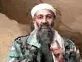 bin laden de nadela bin laden de nadela