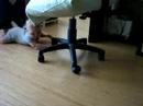 Reilley crawling