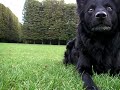 a day in slowmotion