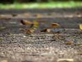 a day in slowmotion