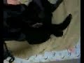 寝かせない悪魔_04