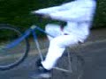 korias en roue arriére korias en roue arriére