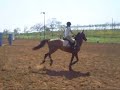 Ilana with Kusai 80 cm jumping track Ilana with Kusai 80 cm jumping track