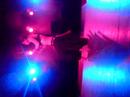 Irene Tribal Bellydance Buikdans Lisonda Joyce Irene Tribal Bellydance Buikdans Lisonda Joyce