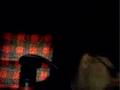 videos de the video